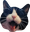 dephCat