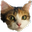 kittyKappaHD