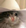 sadcatYeehaw