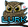 LurkOwl