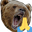 BeaRNG