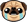 PugSad