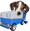 FrankerZamboni