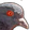 pigeonStare