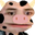 xqcOW