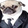 PUGBERTO