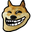 dogeTF