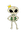 skullyThink