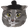 SwallyCat