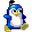 PenguinStare