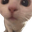 pauseCat