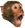 monkeyPog