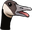 MrGoose