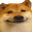 dogeSmug