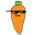 COOLCARROT