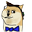 DogeGamer