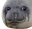 sealSADGE