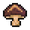 ShiitakeMushroom