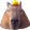 capyBara