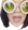 KrashleyGlasses