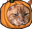 pumpkinRocky