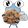 FlyCookie