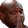 ShaqPray