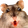 YeseulhamsterPog