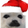 sealSanta