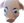 PigChamp