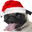 XmasPug