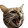 CatRage