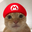 catMario