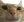 CatOkayge