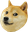 Dogememe