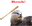 otterBonk