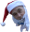 LiquorClause