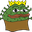 autCovidPepe