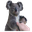 KoalaHello
