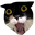 WutCat