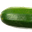 OHMYZUCCHINI1