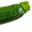 OHMYZUCCHINI3