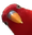 birbLookingAtYou