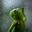 SadKermit