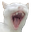 CATLUL