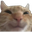 swagHappyCat