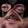 forsenVaN