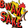 BWAKSSAKE