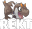 ntfRekt