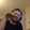 forsenDiscoSnake